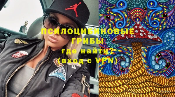 мдпв Покачи