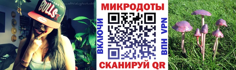 darknet какой сайт  Кологрив  Галлюциногенные грибы GOLDEN TEACHER  наркотики 